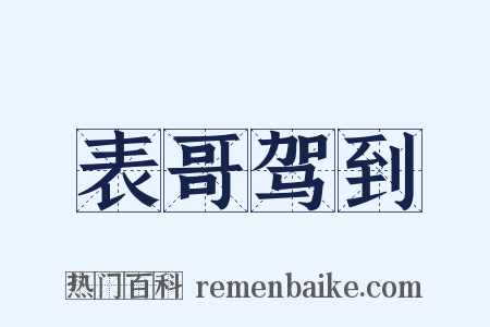 表哥驾到是什么意思的图片